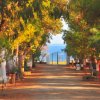 Viale alberato che conduce a un cancello con vista sul mare.