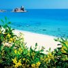 Spiaggia con sabbia bianca, mare turchese e fiori gialli in primo piano, castello in lontananza.