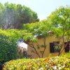 Casa gialla con persiane scure circondata da vegetazione lussureggiante.