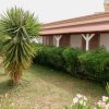 Giardino con pianta esotica di fronte a un edificio con veranda in legno.