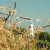 Un faro visto attraverso erba secca, con mare e dighe frangiflutti sullo sfondo.