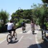 Persone in bicicletta su una pista ciclabile costeggiata da alberi e cespugli.