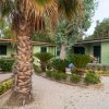 Una casa verde circondata da palme e arbusti, con sentiero di ghiaia in un giardino.
