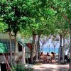 Persone sedute a un tavolo tra tende e roulotte in un campeggio alberato.