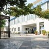 Ampio cortile pavimentato con alberi.