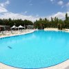 Grande piscina azzurra circondata da sedie a sdraio e alberi.