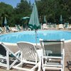 Piscina circolare con lettini e ombrelloni verdi.