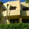 Edificio giallo con finestre scure e alberi circostanti.