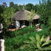 Bungalow circondato da vegetazione lussureggiante e palme.