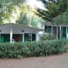 Bungalow bianchi circondati da vegetazione verde.