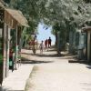 Percorso alberato con persone che camminano verso la spiaggia.