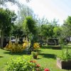 Giardino verde con sedie e tavoli gialli e ombrelloni, circondato da piante e alberi.