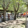 Persone che usano lavandini all'aperto sotto alberi in un campeggio.