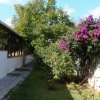 Giardino con cespugli di fiori viola e un sentiero accanto a un edificio.