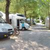 Camper parcheggiati in un'area ombreggiata da alberi, con biciclette appoggiate su uno di essi.