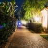 Viale di sera con siepi e luci soffuse.