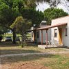 Casa con veranda in un'area verde con alberi.