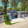Piazzola di campeggio con tenda e tendalino, circondata da alberi.