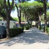 Viale alberato con roulotte ai lati e siepi verdi.