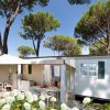 Casa mobile bianca con patio, sedie, e fiori bianchi. Alberi sullo sfondo.