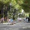 Viale alberato con ciclisti e pedoni, decorato con fiori e lampioni.