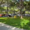 Area camping con camper e tende tra alberi alti e prato verde.